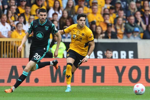 赛的影响 赛的影响