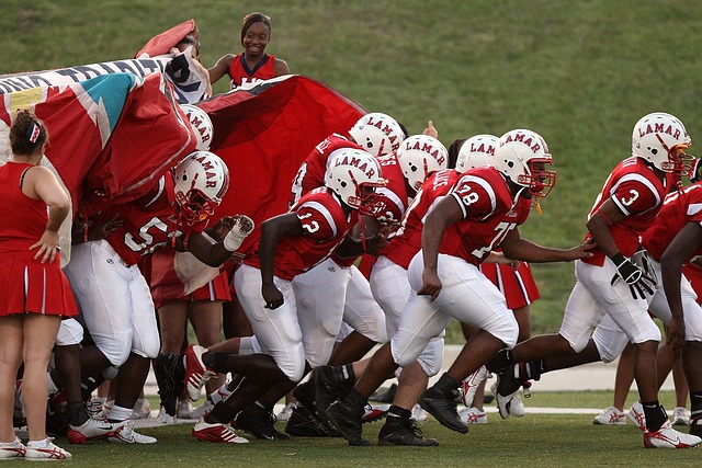 自然产物 自然产物